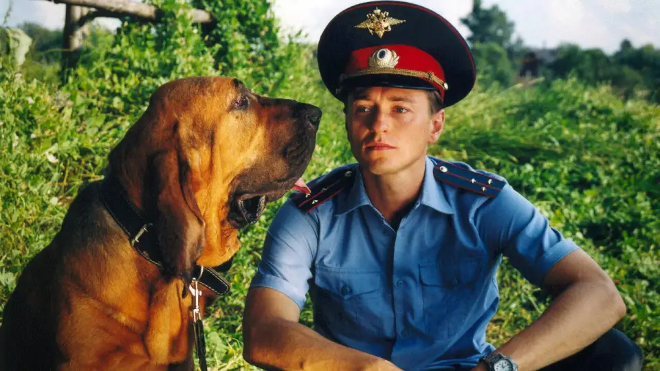 Смотреть онлайн Участок (1 сезон) в хорошем качестве