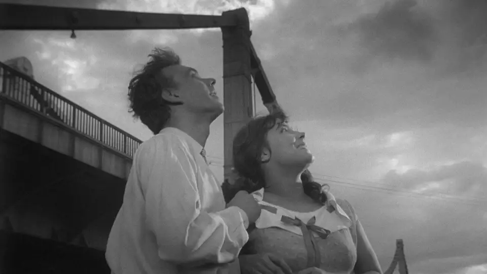 Смотреть онлайн Летят журавли (1957) в хорошем качестве