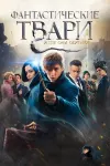 Все части фильма Гарри Поттер